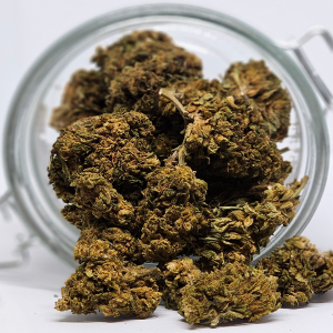 Gorilla MCPN
